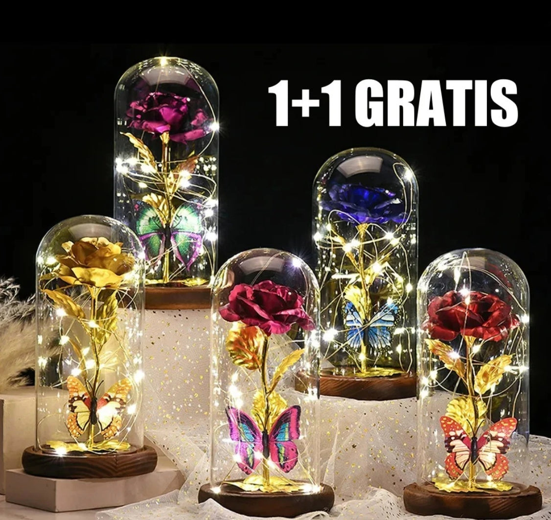 1+1 GRATIS TRANDAFIR IN CUPOLA 22 CM