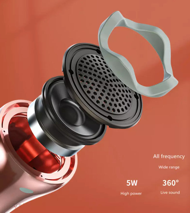 Microfon KARAOKE Bluetooth Q99 Wireless
